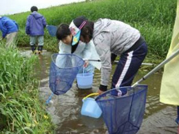 大空町の農村環境向上活動の写真